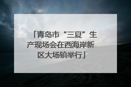 青岛市“三夏”生产现场会在西海岸新区大场镇举行