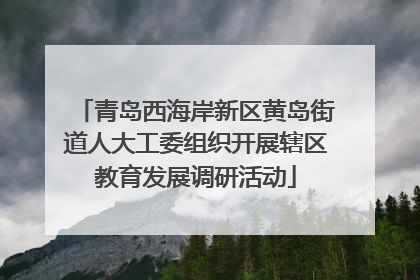 青岛西海岸新区黄岛街道人大工委组织开展辖区教育发展调研活动