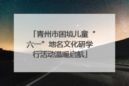青州市困境儿童“六一”地名文化研学行活动温暖启航