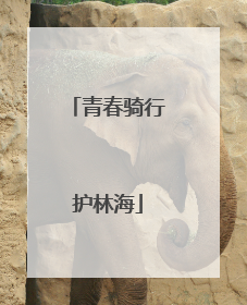 青春骑行护林海