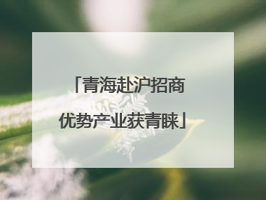 青海赴沪招商 优势产业获青睐