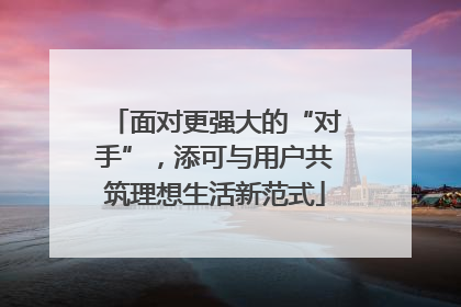 面对更强大的“对手”，添可与用户共筑理想生活新范式