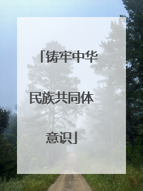 铸牢中华民族共同体意识