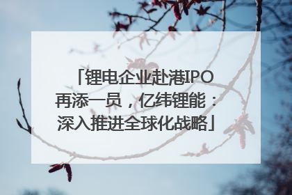 锂电企业赴港IPO再添一员，亿纬锂能：深入推进全球化战略