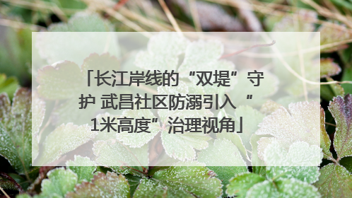 长江岸线的“双堤”守护 武昌社区防溺引入“1米高度”治理视角