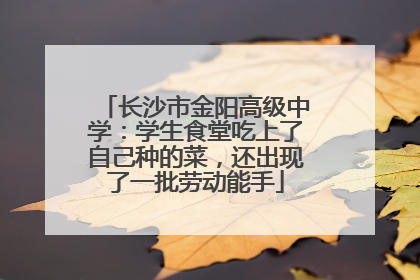 长沙市金阳高级中学：学生食堂吃上了自己种的菜，还出现了一批劳动能手