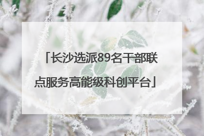 长沙选派89名干部联点服务高能级科创平台