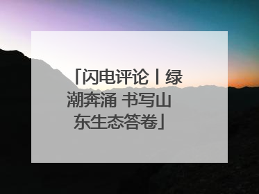 闪电评论丨绿潮奔涌 书写山东生态答卷