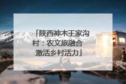 陕西神木王家沟村：农文旅融合 激活乡村活力