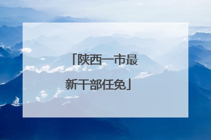陕西一市最新干部任免