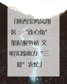 陕西宝鸡凤翔区：“连心角”架起服务桥 文明实践助力“三夏”农忙