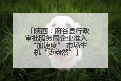 陕西：府谷县行政审批服务局企业准入“加速度” 市场生机“更盎然”