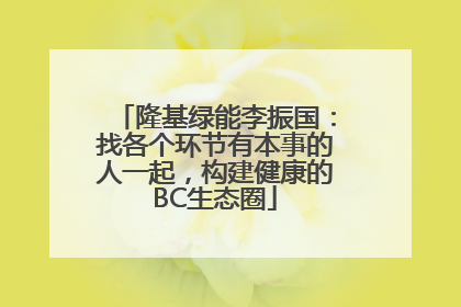 隆基绿能李振国：找各个环节有本事的人一起，构建健康的BC生态圈