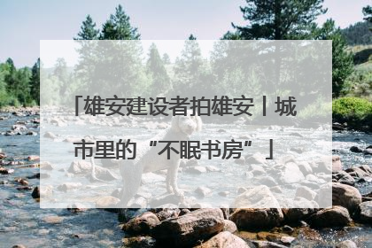 雄安建设者拍雄安丨城市里的“不眠书房”