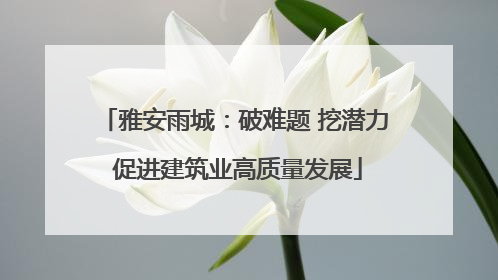 雅安雨城：破难题 挖潜力 促进建筑业高质量发展