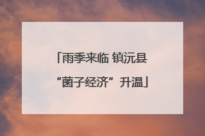 雨季来临 镇沅县“菌子经济”升温