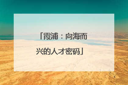 霞浦：向海而兴的人才密码