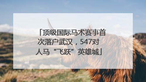 顶级国际马术赛事首次落户武汉，547对人马“飞跃”英雄城