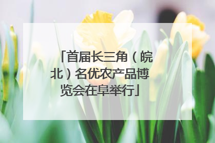 首届长三角（皖北）名优农产品博览会在阜举行