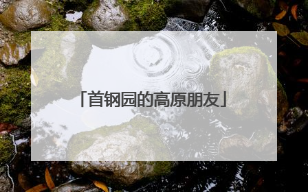 首钢园的高原朋友