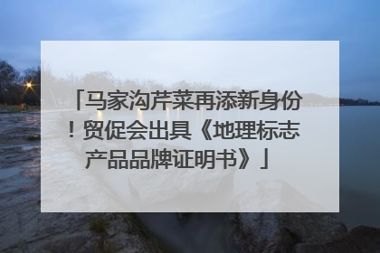马家沟芹菜再添新身份！贸促会出具《地理标志产品品牌证明书》