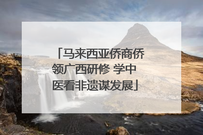 马来西亚侨商侨领广西研修 学中医看非遗谋发展