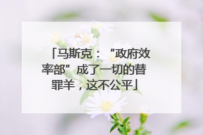 马斯克：“政府效率部”成了一切的替罪羊，这不公平
