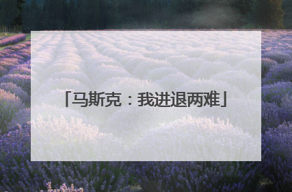 马斯克：我进退两难