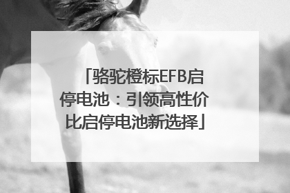 骆驼橙标EFB启停电池：引领高性价比启停电池新选择