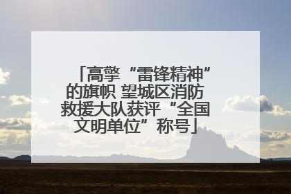 高擎“雷锋精神”的旗帜 望城区消防救援大队获评“全国文明单位”称号