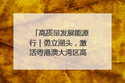 高质量发展能源行｜勇立潮头，激活粤港澳大湾区高质量发展动力源