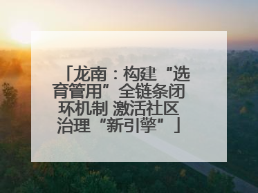 龙南：构建“选育管用”全链条闭环机制 激活社区治理“新引擎”