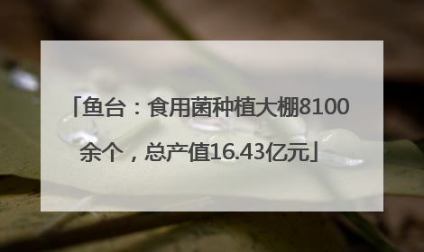 鱼台：食用菌种植大棚8100余个，总产值16.43亿元