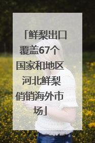 鲜梨出口覆盖67个国家和地区 河北鲜梨俏销海外市场