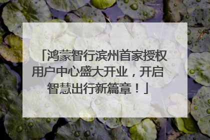 鸿蒙智行滨州首家授权用户中心盛大开业，开启智慧出行新篇章！