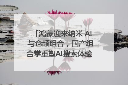 鸿蒙迎来纳米 AI 与仓颉组合，国产组合拳重塑AI搜索体验｜新经济观察