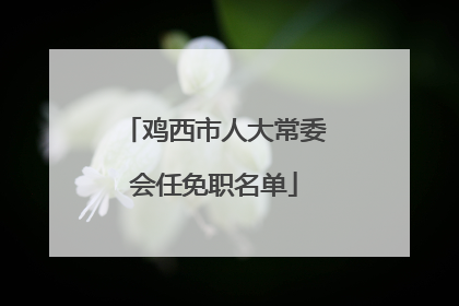 鸡西市人大常委会任免职名单