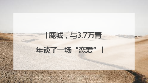 鹿城，与3.7万青年谈了一场“恋爱”