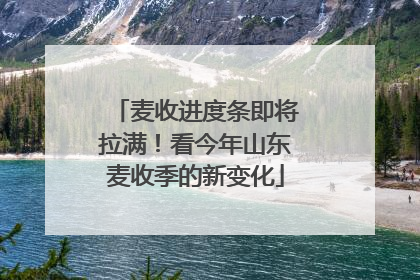 麦收进度条即将拉满！看今年山东麦收季的新变化
