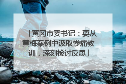 黄冈市委书记：要从黄梅案例中汲取惨痛教训，深刻检讨反思