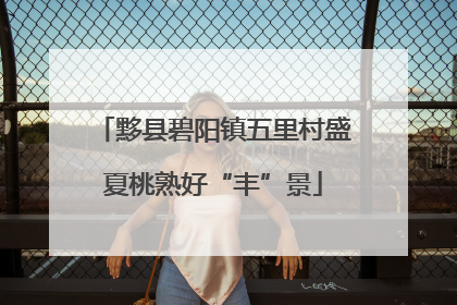 黟县碧阳镇五里村盛夏桃熟好“丰”景