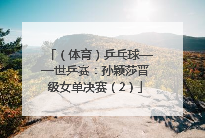 （体育）乒乓球——世乒赛：孙颖莎晋级女单决赛（2）