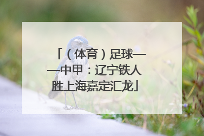 （体育）足球——中甲：辽宁铁人胜上海嘉定汇龙
