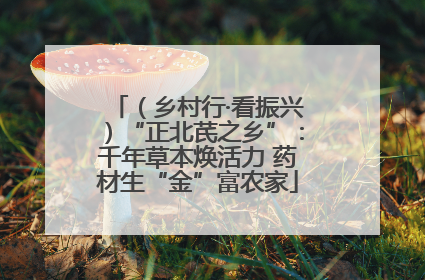 （乡村行·看振兴）“正北芪之乡”：千年草本焕活力 药材生“金”富农家