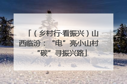 （乡村行·看振兴）山西临汾：“电”亮小山村 “碳”寻振兴路