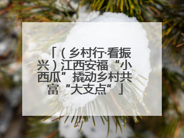 （乡村行·看振兴）江西安福“小西瓜”撬动乡村共富“大支点”
