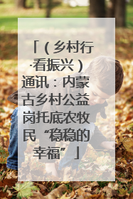 （乡村行·看振兴）通讯：内蒙古乡村公益岗托底农牧民“稳稳的幸福”