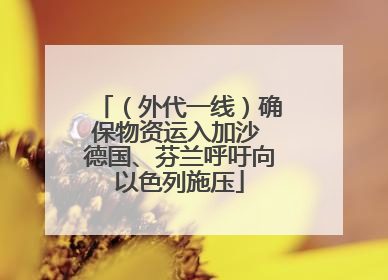 （外代一线）确保物资运入加沙 德国、芬兰呼吁向以色列施压