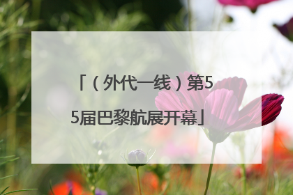 （外代一线）第55届巴黎航展开幕