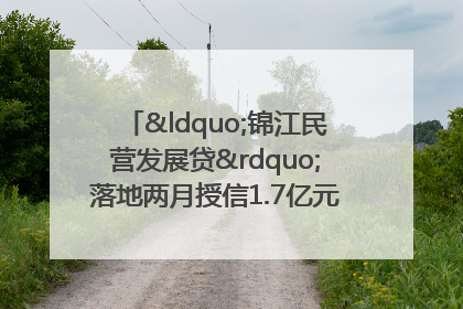 “锦江民营发展贷”落地两月授信1.7亿元，惠及118家民企